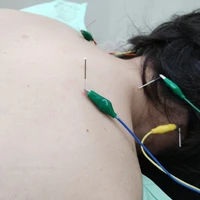 画像267