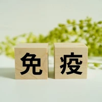 画像283