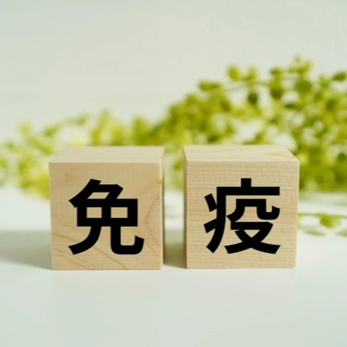画像283